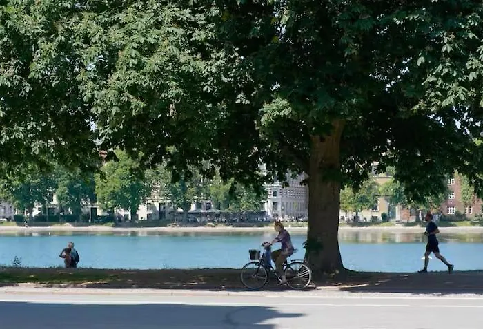 Apartment Family - - Sea - Luxury